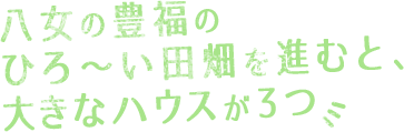 八女の豊福のひろ～い田畑を進むと、大きなハウスが3つ