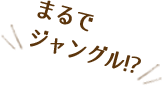 まるでジャングル!?