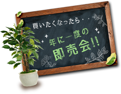 買いたくなったら・・・年に一度の即売会!!