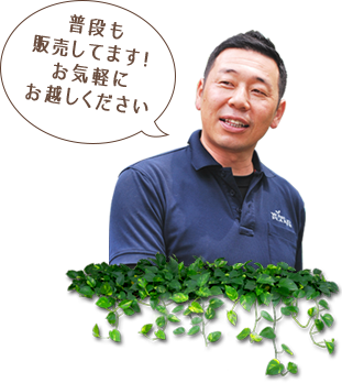 普段も販売してます!お気軽にお越しください