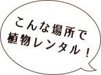 こんな場所で植物レンタル！