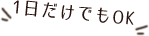 1日だけでもOK