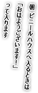 朝ビニールハウスへ入るときは「おはようございます!」ってはいります
