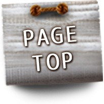 PAGE TOP